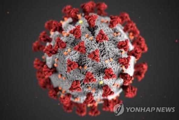 미 질병통제예방센터가 공개한 코로나19 바이러스