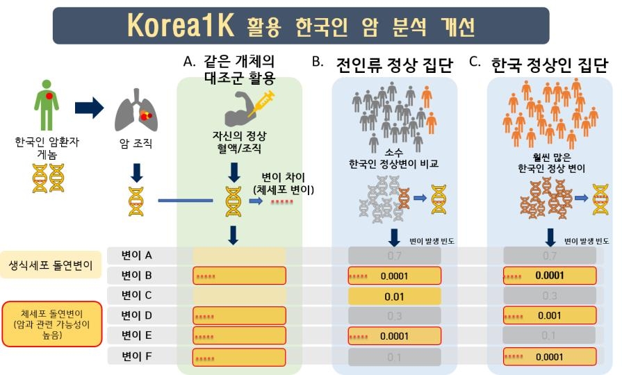 한국인 1천명 게놈 정보를 이용한 암 분석 개선 [UNIST 제공. 재판매 및 DB 금지]
