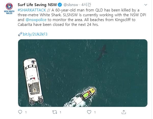 사진 오른쪽 상단에 상어의 형체가 포착됐다. [호주 뉴사우스웨일즈 서핑 구조대 트위터 계정 캡처 화면]