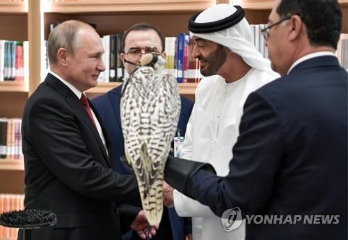 지난해 10월 UAE 방문 당시 흰매 선물하는 블라디미르 푸틴 대통령의 모습.