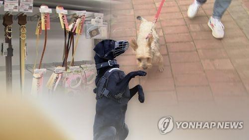 반려견 관련 사고(CG)
