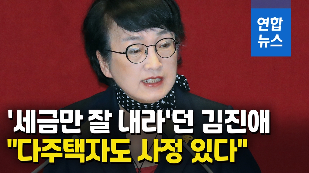 [영상] 주택 3채 신고한 김진애 의원 "왜 다주택자 적대시하나" - 2