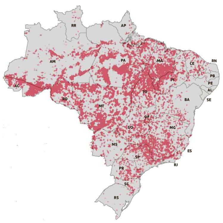 브라질 전국서 화재로 생태계 대규모 피해