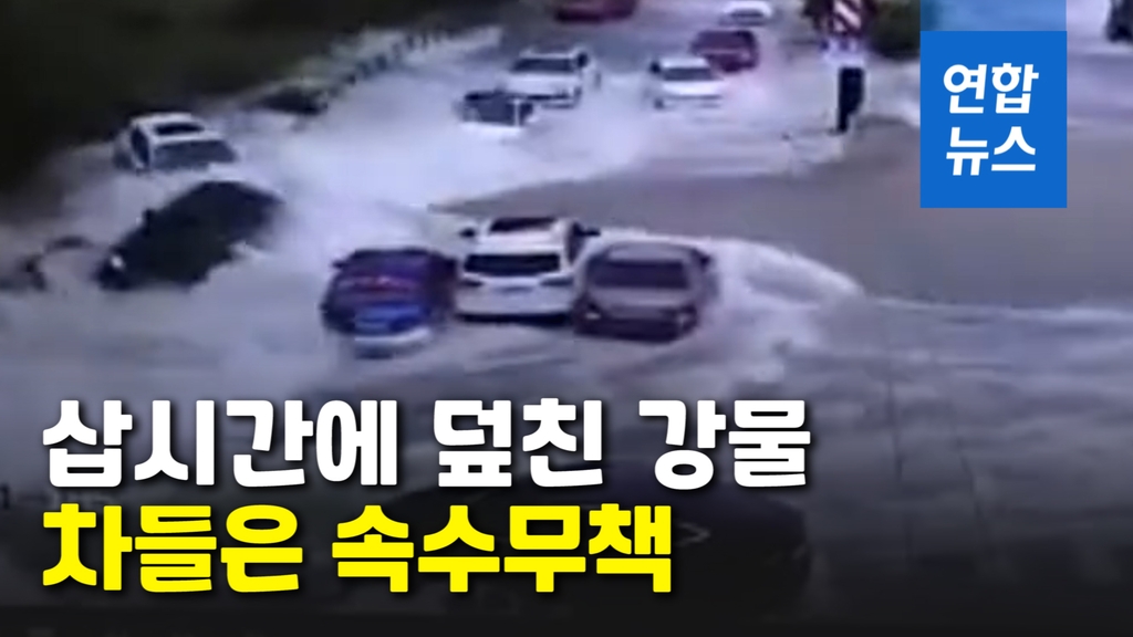 [영상] 집채만한 파도 덮치는 순간…도로 위 차들 집어삼켜 - 2