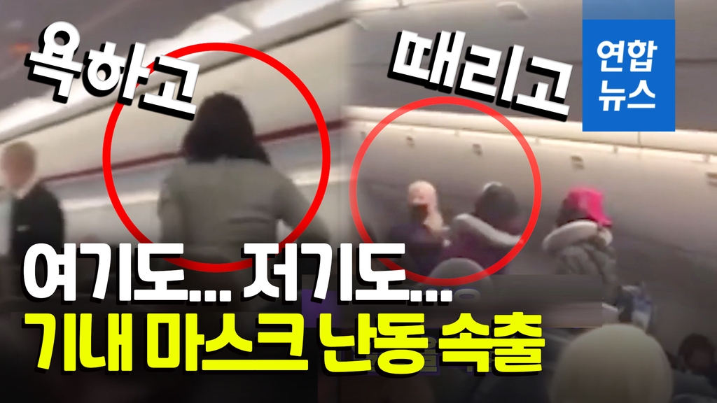 [영상] 일부러 기침하고 주먹질까지…비행기 '노마스크' 승객들 추태 - 2