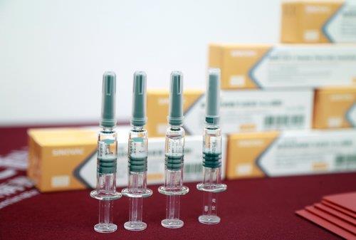 중국 제약회사 시노백이 개발한 코로나19 백신 '코로나백'