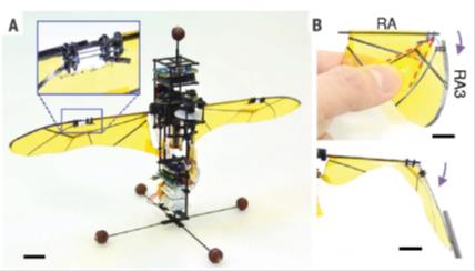 펼침-접힘 원리를 적용한 인공날개를 갖춘 날갯짓 비행로봇
