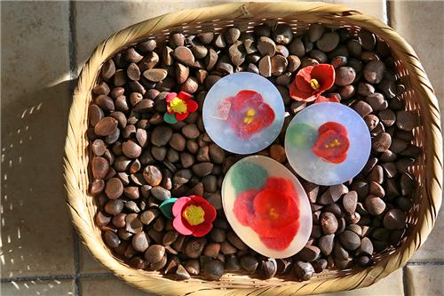 바구니에 담긴 애기동백 열매와 동백기름으로 만든 비누 [사진/전수영 기자] 