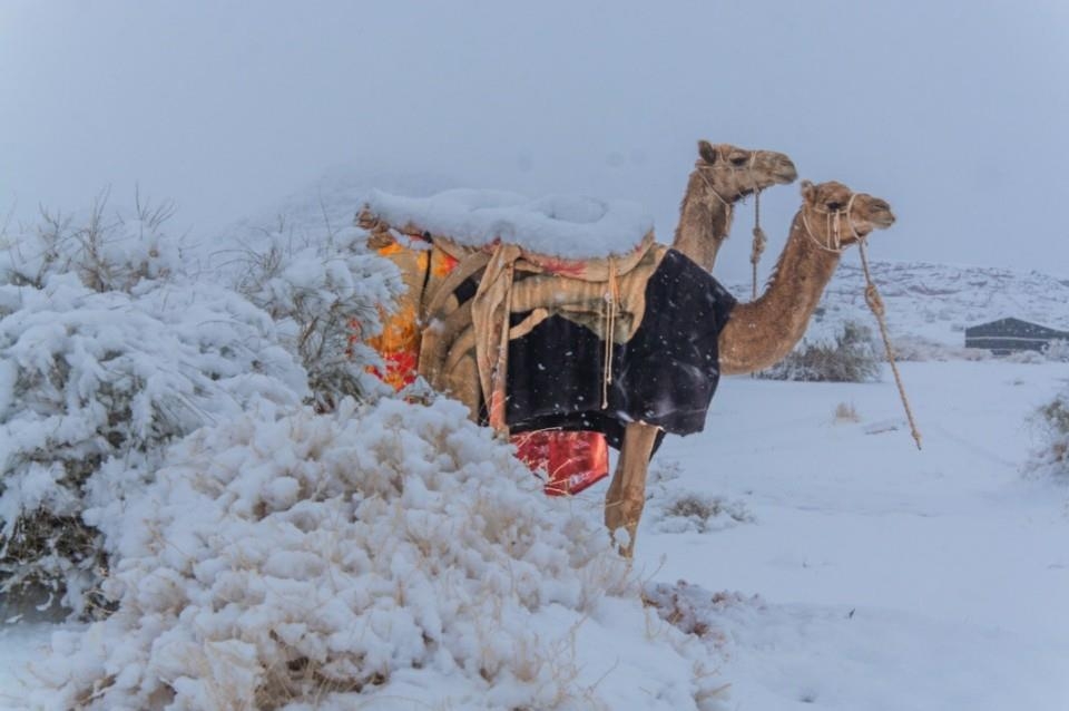 14일(현지시간) 눈이 쌓인 사우디아라비아(사우디) 남서부의 아시르 지역