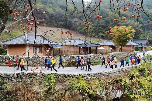 김제 모악산축제의 모악산 걷기대회 모습