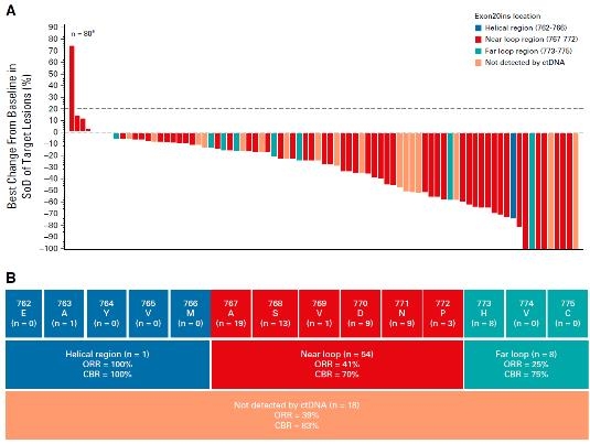 (서울=연합뉴스) A) 81명을 대상으로 아미반타맙의 치료 효과를 표시한 그래프. 그래프가 아래를 향할수록 암이 줄어든 것으로 대다수의 환자에서 암이 줄어든 것으로 확인됐다. B) EGFR 엑손20 돌연변이의 경우 다양한 변이가 존재하는데 파란색 그룹과 붉은색 그룹, 청녹색 그룹 모두에서 아미반타맙으로 암이 줄어든 것(ORR)으로 확인됐다. 2021.08.23. [세브란스병원 제공.재판매 및 DB 금지]