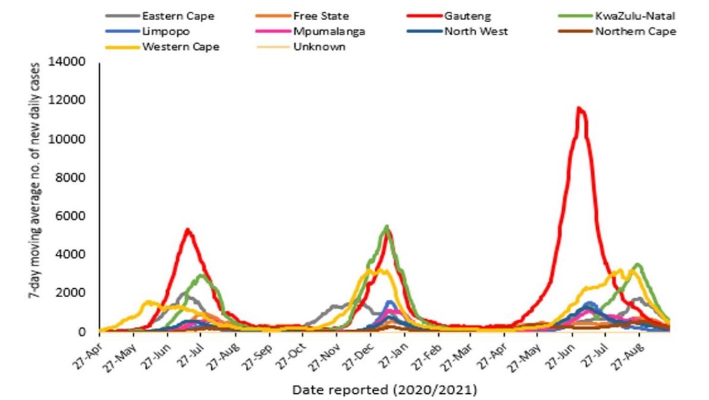 남아공 각 주별 7일 평균 감염자 추이