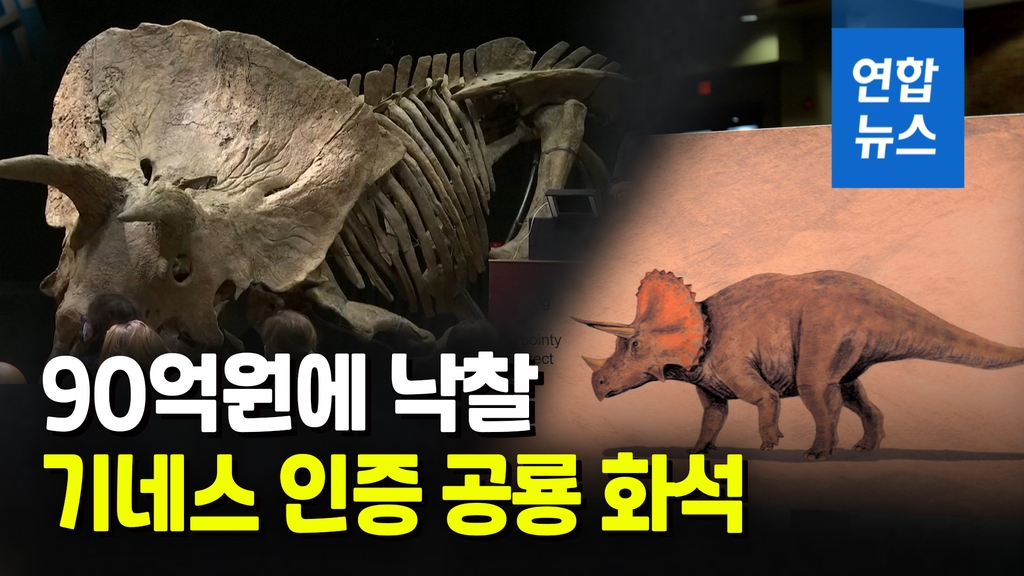 [영상] 둘리 친구?…뿔 3개 초식공룡 화석 90억원에 낙찰 - 2