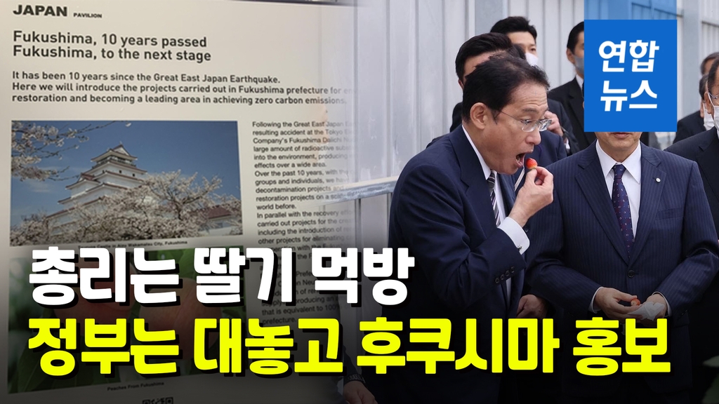 [영상] '제사보다 잿밥?'…日, 기후변화 회의서 후쿠시마 홍보 눈살 - 2