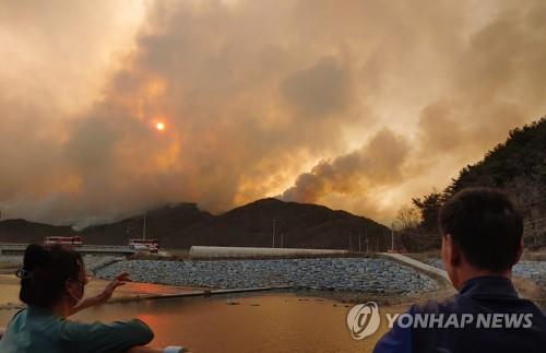 양구서 산불 발생…치솟는 연기