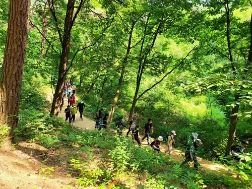 원주시 전국 최초 '트레킹 도시' 선포…9월에 맨발 걷기 축제