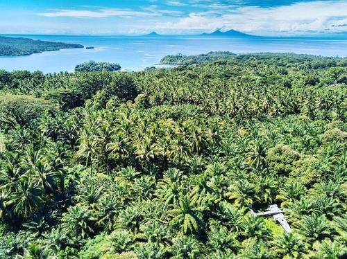 파푸아뉴기니 자연