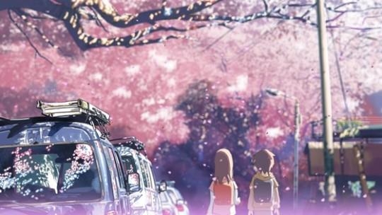 [길따라 멋따라] '초속 5㎝, 600도의 법칙'…일본 벚꽃 나들이객 '울상'