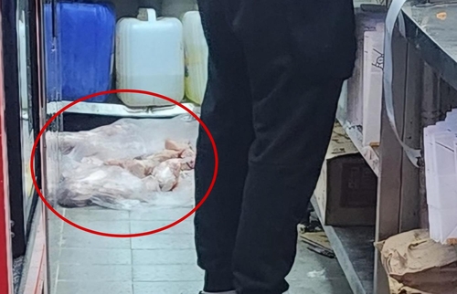 [OK!제보] 바닥에 널브러진 생닭들…유명 치킨점의 충격 실태