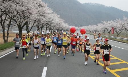 합천군, 제16회 합천벚꽃마라톤대회 준비 마무리에 박차 - 1
