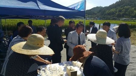 남해군, '막걸리 전용 쌀' 시범 재배로 농가 소득 보전 기대 - 1
