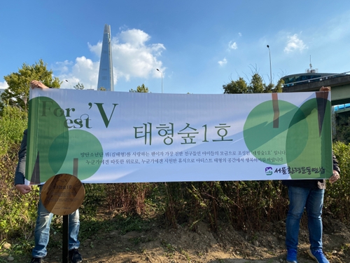 La foto, proporcionada por la Federación Surcoreana para el Movimiento Ambiental, muestra el Bosque V nº 1, creado, el 1 de octubre de 2021, en el parque del río Hangang. (Prohibida su reventa y archivo)