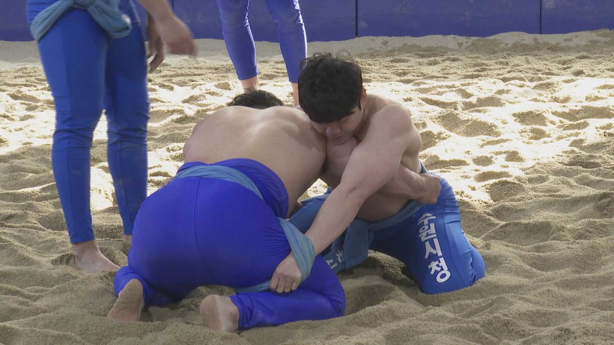 씨름의 재발견…'몸짱씨름' 인기회복 노린다