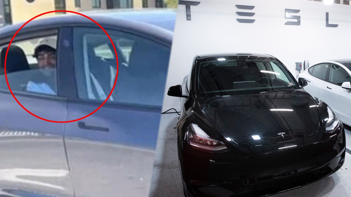 테슬라 뒷좌석 앉아 미 고속도로 '쌩쌩'…자율주행 안전성 논란