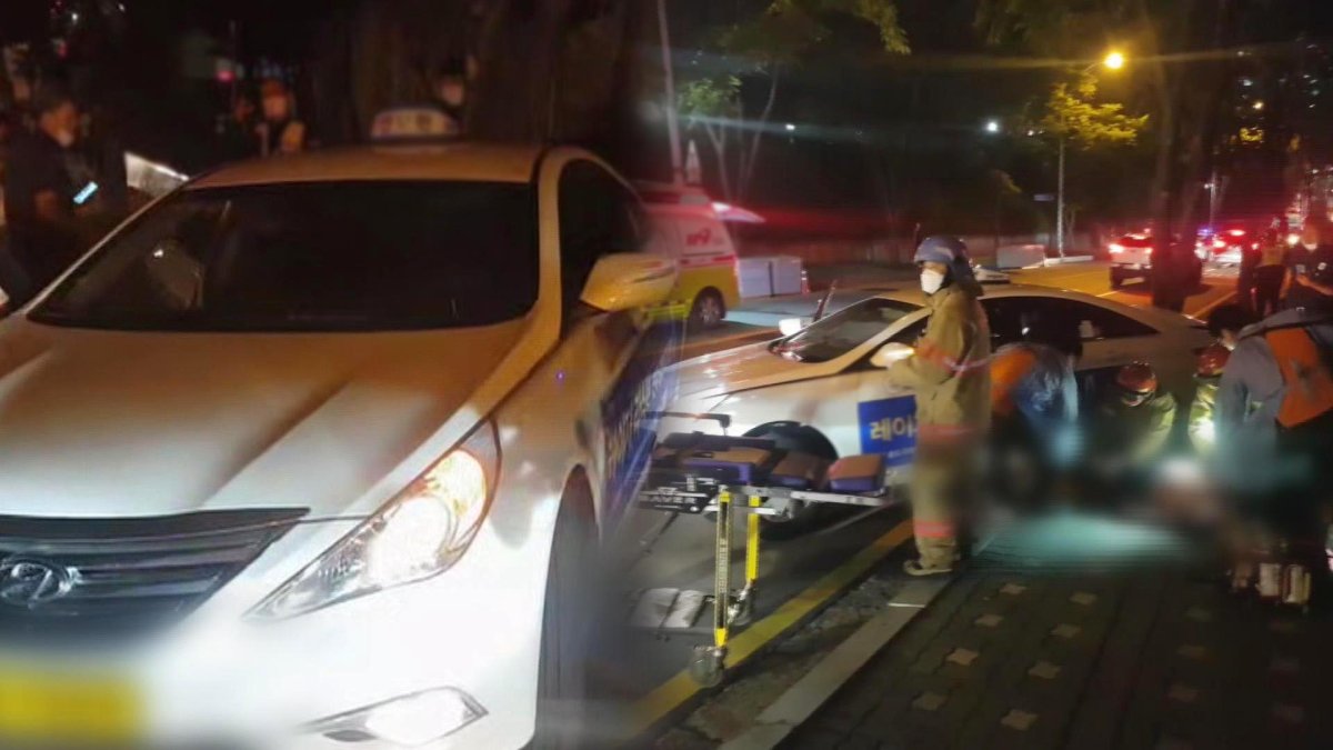 뒷좌석 승객이 '묻지마 살인'…택시기사 참변