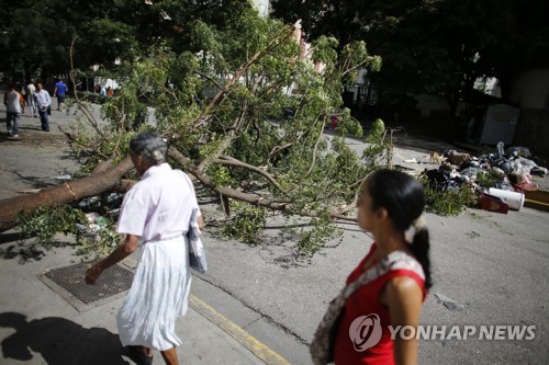 반정부 시위대가 나무를 잘라 도로를 막고 있다. [AP=연합뉴스] 