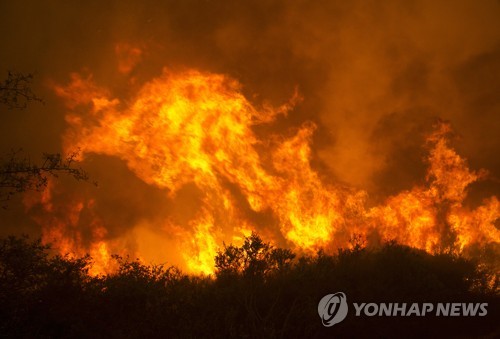 美 캘리포니아에서 발생한 산불 현장