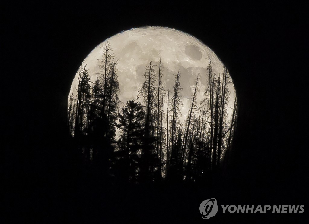 '소원 빌어볼까'…올해 가장 큰 보름달 '슈퍼문'