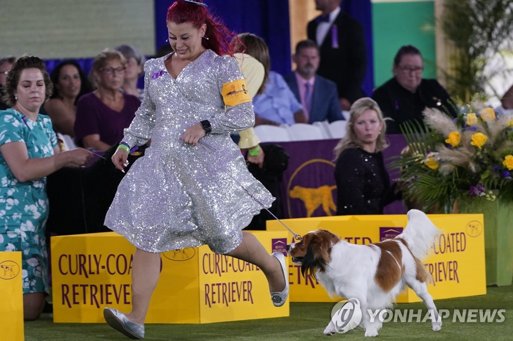 CORRECTION Westminster Dog Show