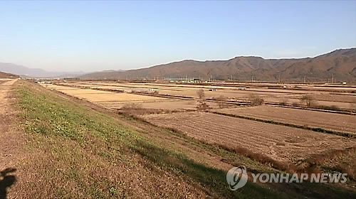 들녘