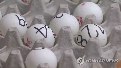 유치원 추첨 공