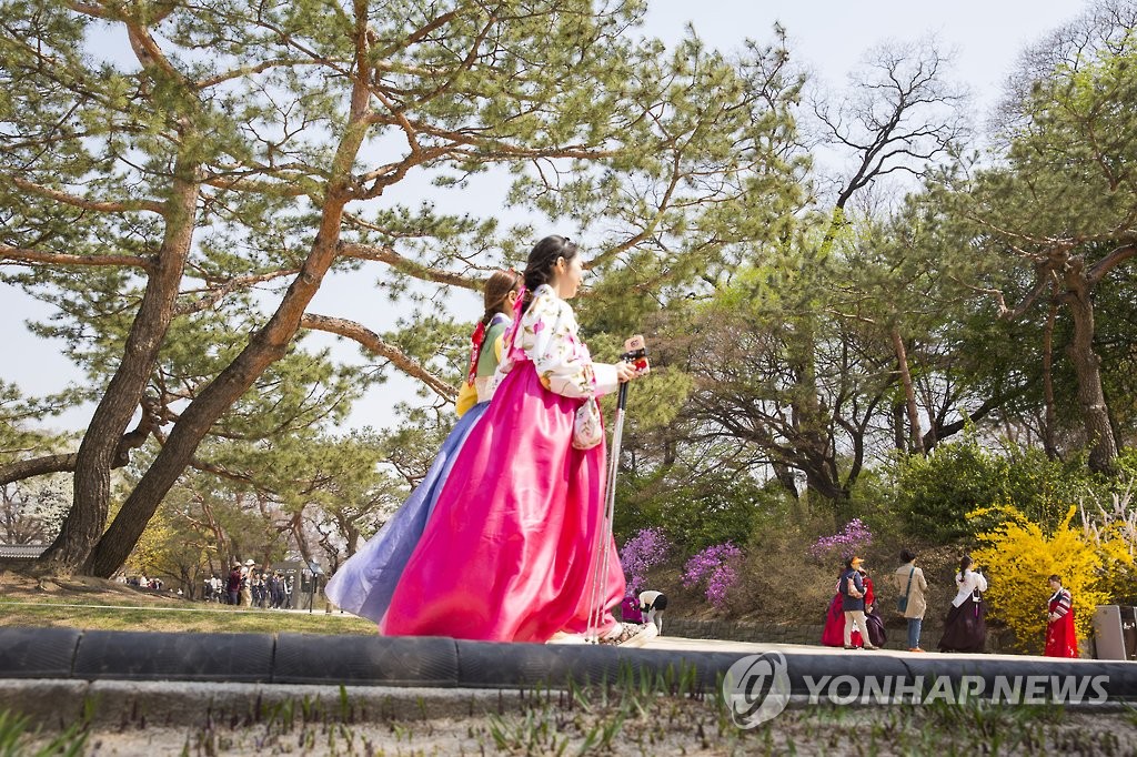 봄날 고궁나들이