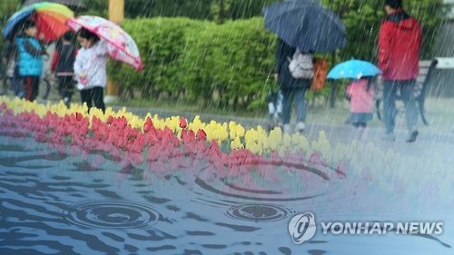 봄비(CG)