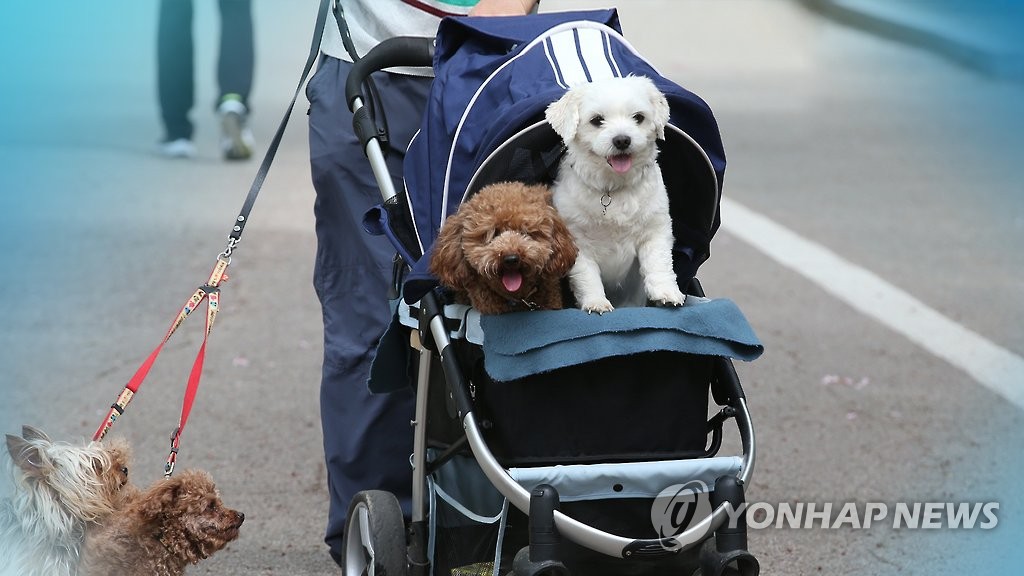 반려동물(CG)