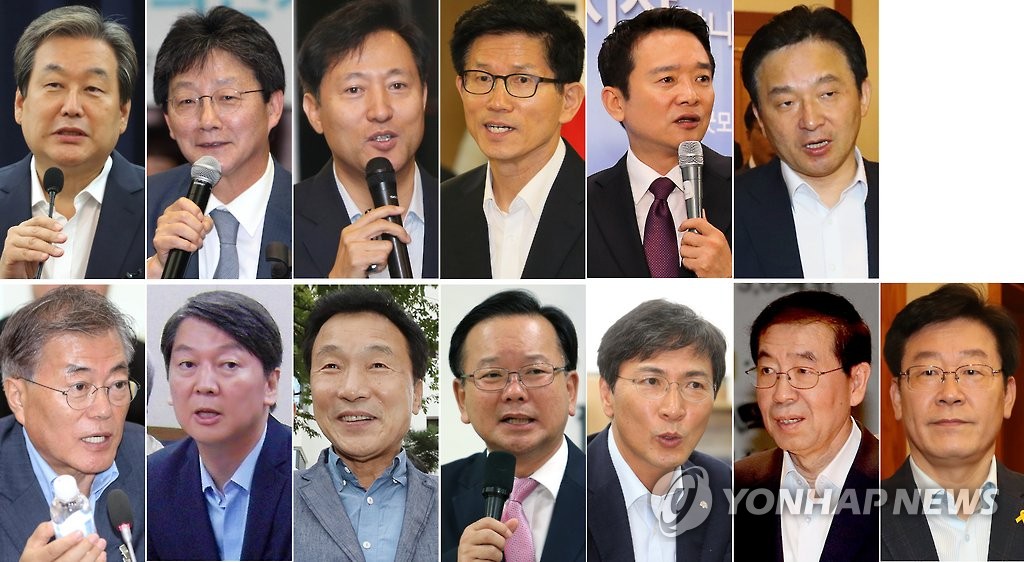 여야 잠룡 13인 김무성 유승민 오세훈 김문수 남경필 원희룡 문재인 안철수 손학규 김부겸 안희정 박원순 이재명