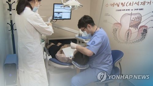 1년에 한번 건보 적용 스케일링