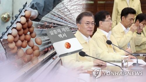 文대통령, '살충제 계란 파동 백서' 발간 지시…"교훈 삼아야"(CG)