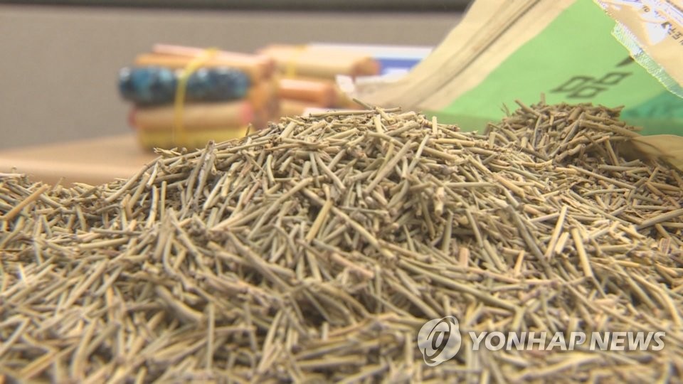 한약재 '마황'