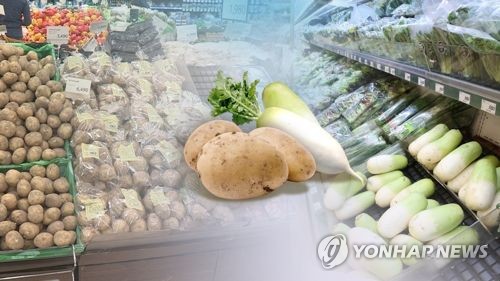 무·감자가격 공급부족에 가격 '급등' (CG)