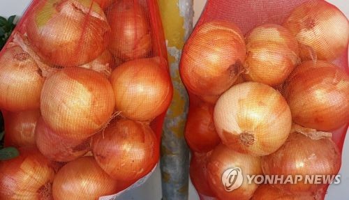 양파