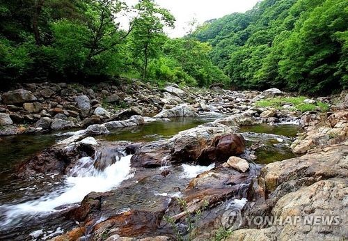 충북 영동 물한계곡