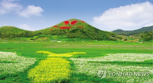 함평나비축제장