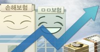 손보사 1분기 역대급 순이익 경신…'실적 부풀리기' 논란 지속
