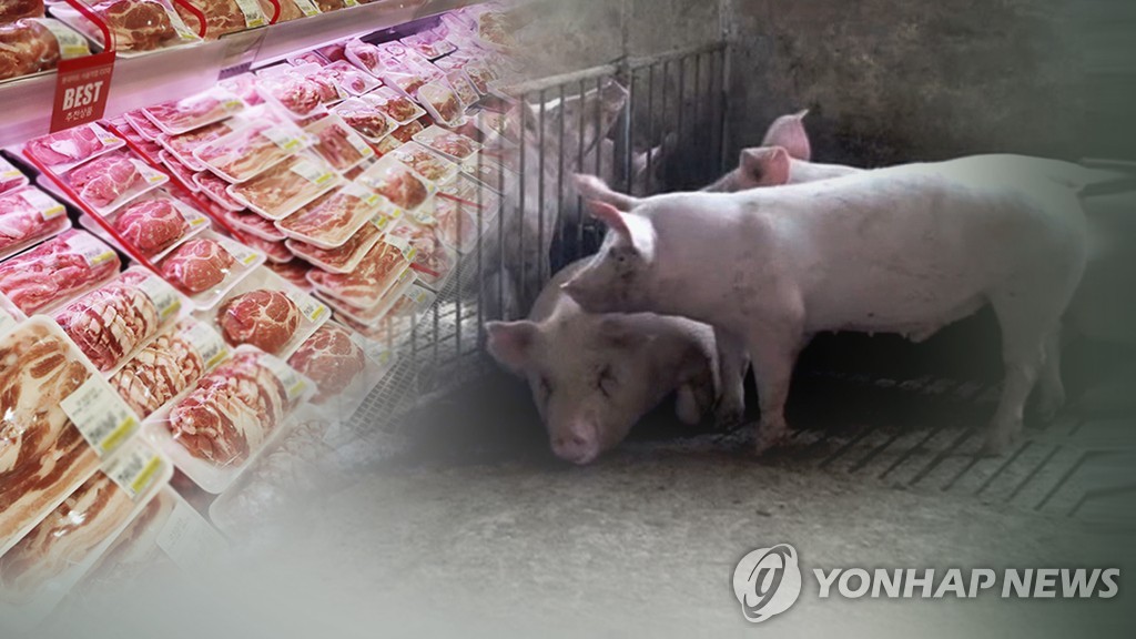 돼지고기 가격 변동(CG)