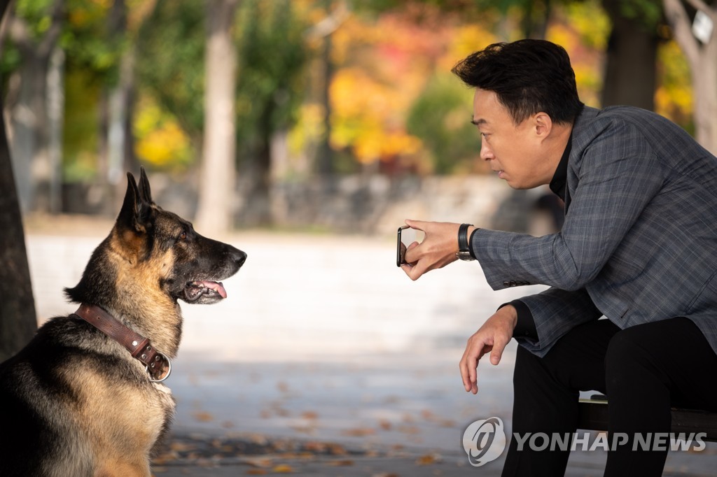 영화 '미스터 주'