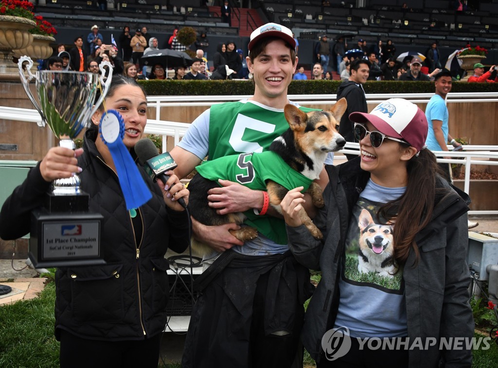 US-DOGS-RACE-CORGI